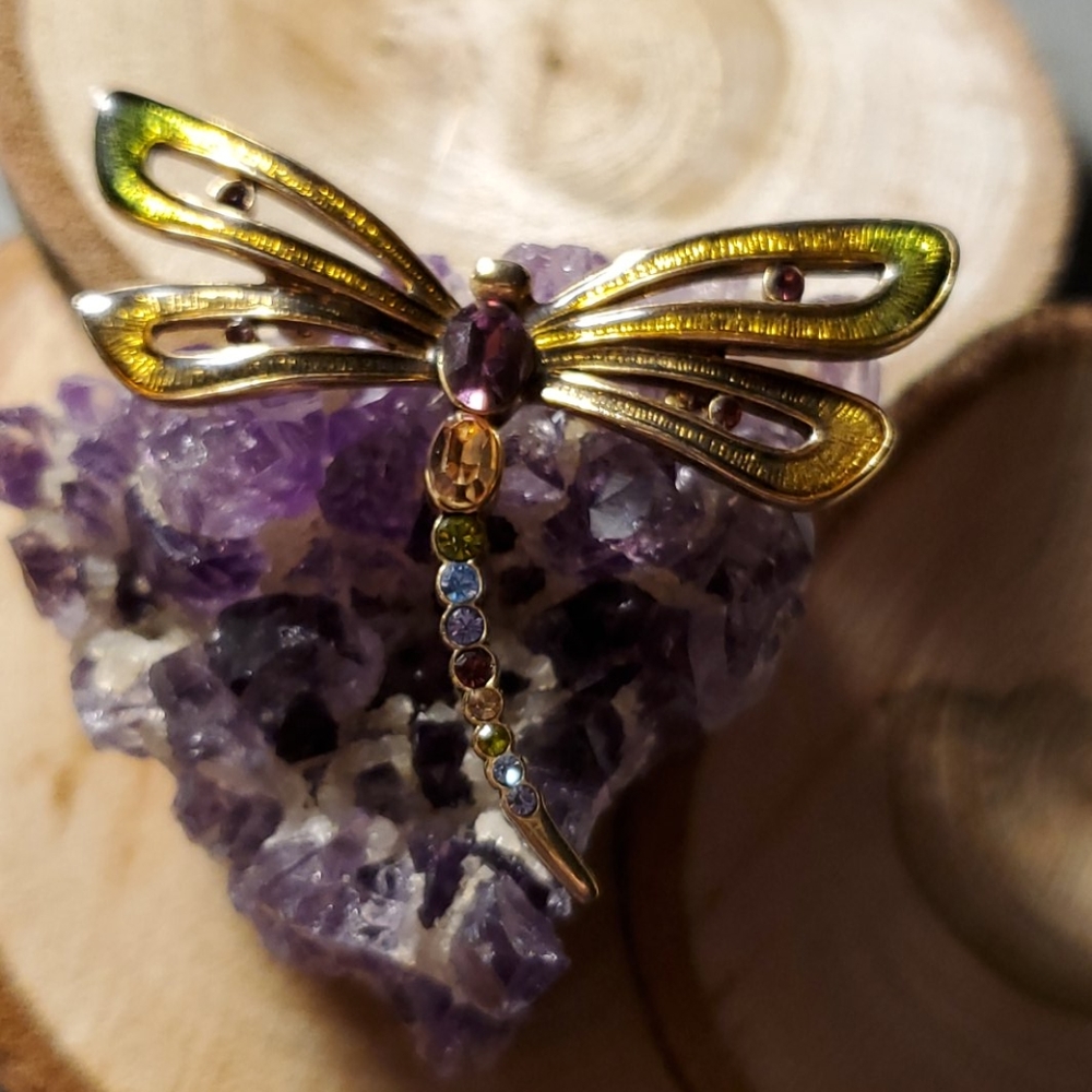 Monet Dragonfly Brooch